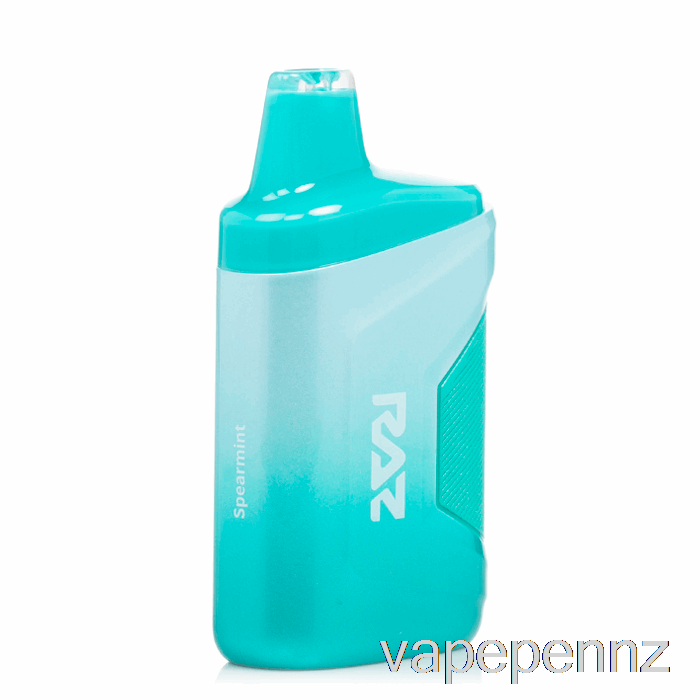 RAZ CA6000 0% Zero Nicotine Disposable Spearmint VAPE NZ